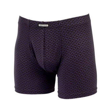 Set heren boxershort microvezel Star bruin
